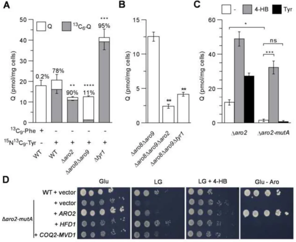 Figure 1 Click here to download Figure Fig1.tif 