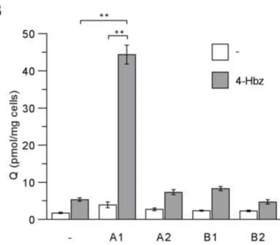 Figure 4 Click here to download Figure Fig4.tif 