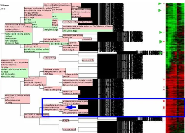 Fig. 3: Annotated classification of the 1270 regulated genes as displayed in the  Classification Tree Viewer