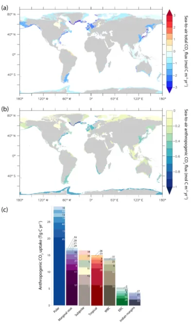 Figure 4. Global mean distribution of the simulated sea-to-air flux of (a) total carbon and (b) anthropogenic carbon over 1993–2012 as mol C m −2 yr −1 in the global coastal ocean segmented following MARCATS from LA13