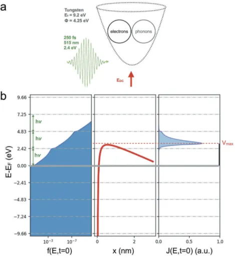 Figure 2. (Color Online) (a) A femtosecond laser pulse is incident on a metallic nanotip: the ultrafast dynamics of the excited electron gas involves optical excitation by the laser pulse, electron-electron and electron – phonon interactions on a femtoseco