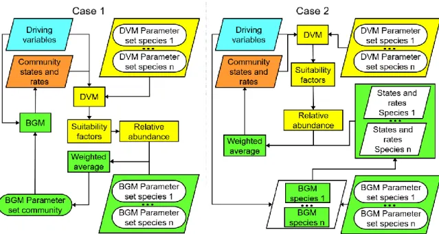 Figure 6. Two ways to implement the CoSMo approach. Case 1: parameter averaging. Case 2: process  rate  averaging