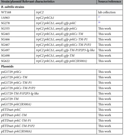 Table 1.  B. subtilis strains and plasmids used in this work.