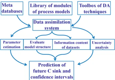 Figure 2. The data assimilation system inside the Ecological Plat- Plat-form for Assimilation of Data (EcoPAD, v1.0) towards better  fore-casting of terrestrial carbon dynamics.