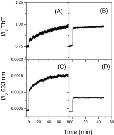 Figure  2.  ThT  binding  (A,  B)  and  SLS  (C,  D)  experiments  for  PrP  12-mers  (B,  D),  at  a  concentration of 2 µM, compared to the corresponding experiments for the monomer (A, C),  at  an  equivalent  concentration  of  5  µM  of  PrP,  in  con