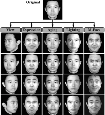 Fig. 10 An example image with photorealistically rendered images for different attributes (repro- (repro-duced from [14]).