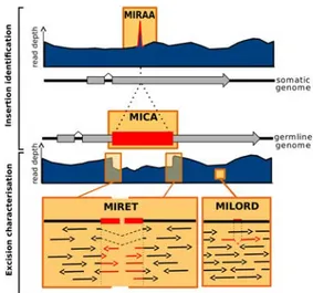 Fig. 1. ParTIES toolbox. Somatic and germ line genomes are evoked by solid black lines with exons (grey boxes) and IES (red box)