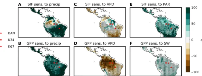 Fig. 2. ANN sensitivity analysis results: Wet season. Remote sensing results for the sensitivity of SIF to precipitation (A), VPD (C), and PAR (E)