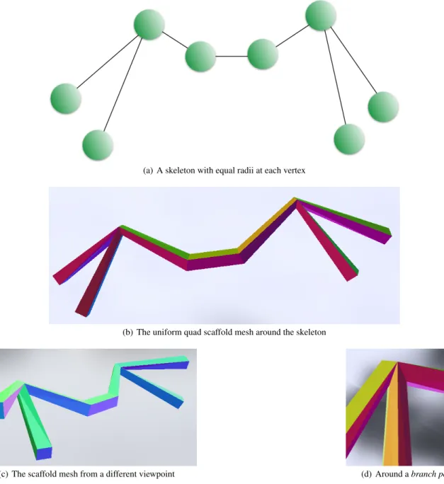 Fig. 7 A Scaffold simple skeleton with unit radii and 2- and 3-valent vertices. Note the regularity and stitching of the mesh faces around branch points (d).