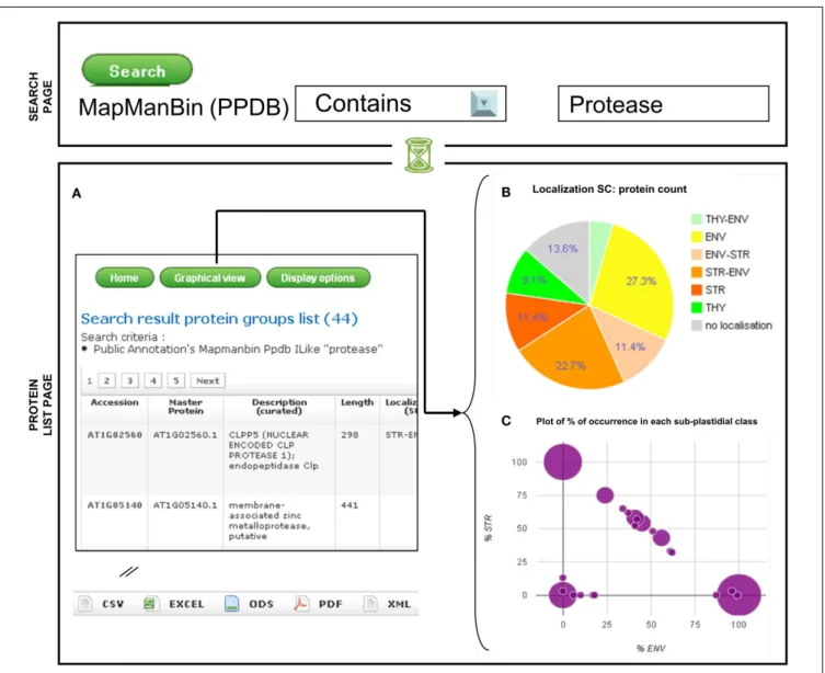 FIGURE 2 | Visualization of the sub-plastidial localization of a selected set of proteins: example of a search