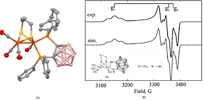 Figure  10.  X-ray  crystal  structure  [A]  of  the  [FeFe]-model  (11)  that  features  a  chelating  diphosphine  borane  ligand,  and  the  EPR  spectrum  of  the  Fe(II)Fe(I)  species  [B]  formed  through electrochemical oxidation