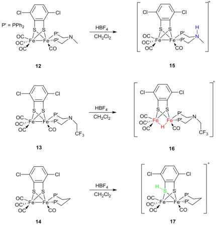 Figure  11.  A  series  of  [FeFe]-models  bearing  chelating  diphosphine  ligands  with  varying  bridgeheads groups (12-14), and the protonated products (15-17) all featuring unique sites of  protonation, coloured for clarity