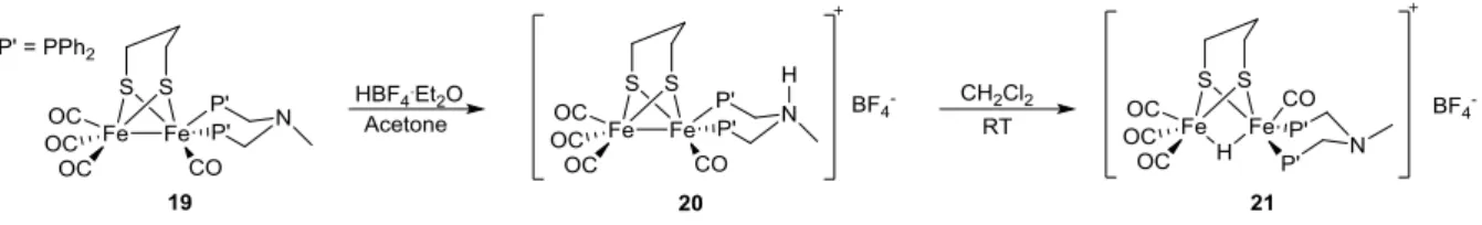 Figure  13.  Scheme  for  the  protonation  of  19  to  yield  the  ammonium  salt  20,  and  its  subsequent  isomerization  that  results  in  delivery  of  the  proton  to  the  metal-metal  bond,  to  form the bridging hydride 21