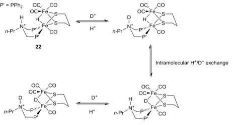 Figure 14. Scheme for the reversible exchange of protons and deuterons in 22, facilitated by  the basic amine bridgehead of the diphosphine ligand
