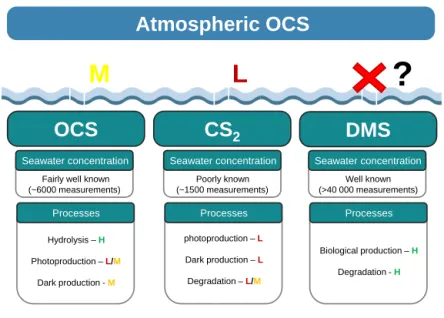 Figure 8. Marine contribution to the atmospheric OCS loading from direct and indirect (CS 2 ) emissions
