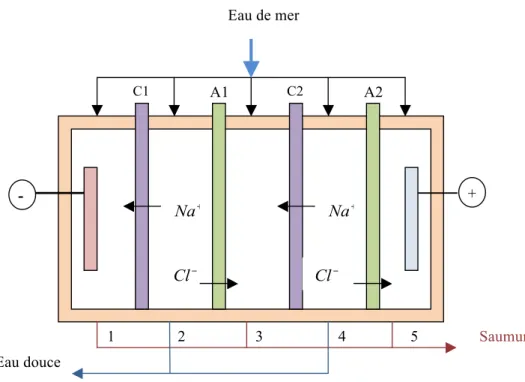 Figure I.9: Unité d’électrodialyse alimentée en parallèle. 