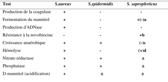 Tableau  02 :  Caractères de quelques espèces de Staphylococcus (Martineau, 1997 ; Avril  et al., 1992) 