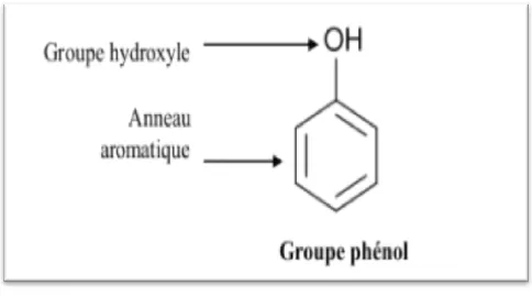 Figure n°01 : Structure chimique de polyphénol [28]. 