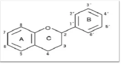 Figure n° 02: Structure de base des flavonoïdes [32]. 