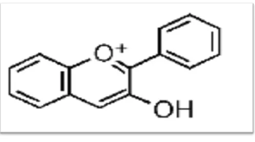 Figure n°04 :  Structures chimiques d’anthocyanes [34]. 