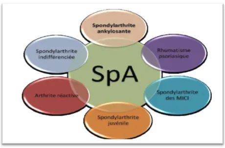 Figure n° 10 : Les différents sous-types de SpA  [76]. 