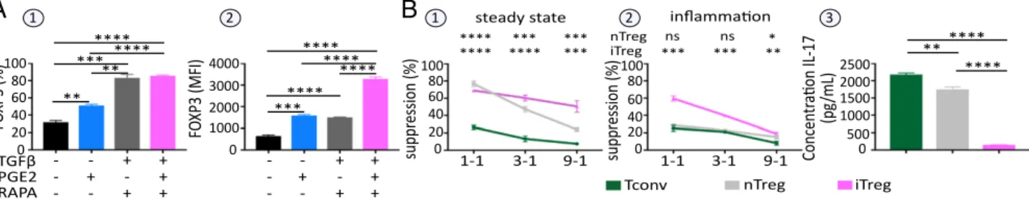 Fig. 7. The tolerogenic microenvironment dictates the ex vivo induction of FOXP3 iTregs by CD4-naive TH0 cells transdetermination