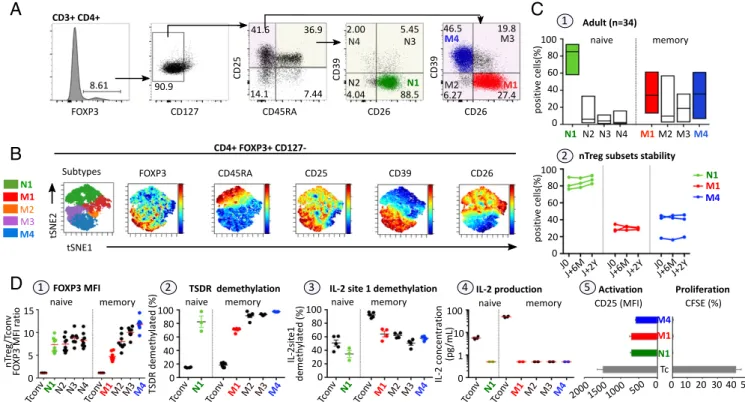 Fig. 2D briefly schematizes the parental maturation process of the nTreg population in healthy individuals