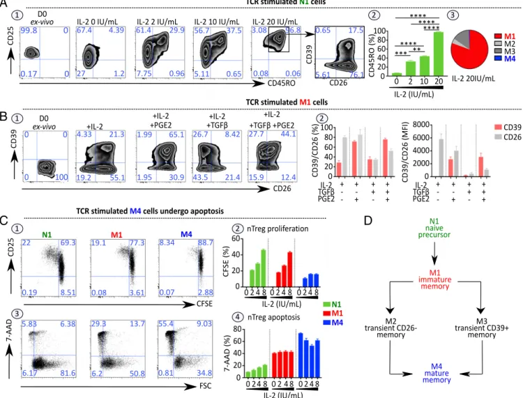 Fig. 2. Microenvironmental context of TCR stimulation governs nTreg subset parental maturation