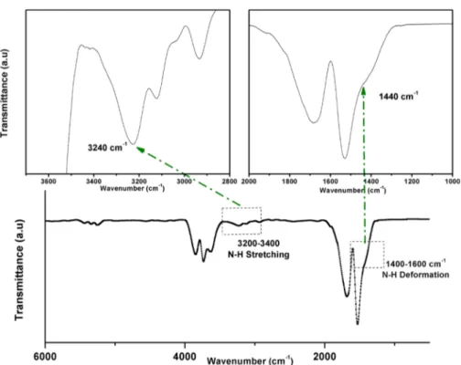 Figure 1. FTIR spectrum (bottom) and enlargement of speci ﬁ c spectral regions (top) of silanized SiO 2 -coated aluminum surfaces