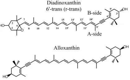 Figure  1    Molecular  structures  of  the  carotenoids  studied:  diadinoxanthin  and  alloxanthin
