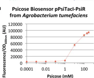 Figure 2. Design and characterization of a synthetic psicose biosensor. (A) Sequence comparison between the pTacI promoter (43) and the pPsiTacI synthetic promoter.