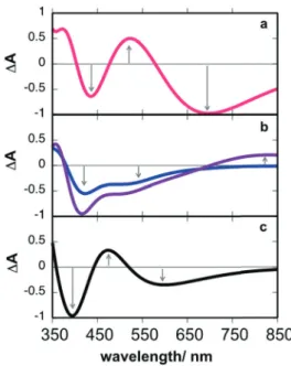 Fig. 9 Diﬀerential spectra (normalized to 1 at the maximum DA) computed for (a) localization of the guanine cation, (b) deprotonation to water (violet) and to cytosine (blue) and (c) hydration of the guanine cation in GC 1 