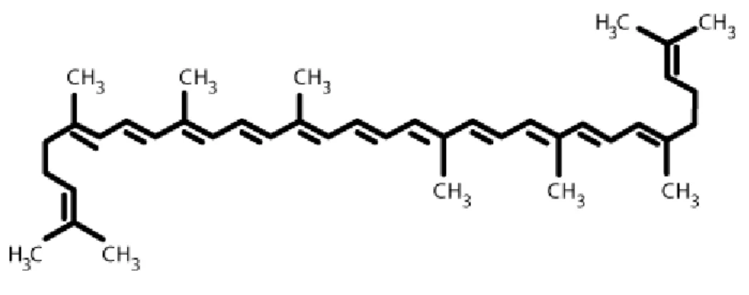 Figure N°5. Structure moléculaire de lycopène  4.2 Les fibres de tomates 
