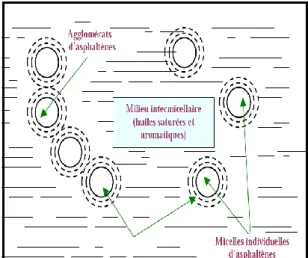 Figure II.10: Schématisation de la structure colloïdale d’un bitume routier  (d’après Brule) 
