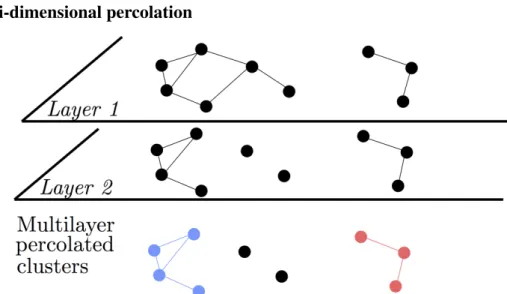Figure 1: Schematic representation of the multi-dimensional network percolation heuristic