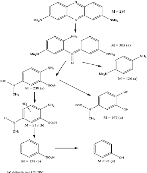 Figure II. 4 : Mécanisme de la dégradation photocatalytique du bleu de méthylène dans  l’eau [85] 