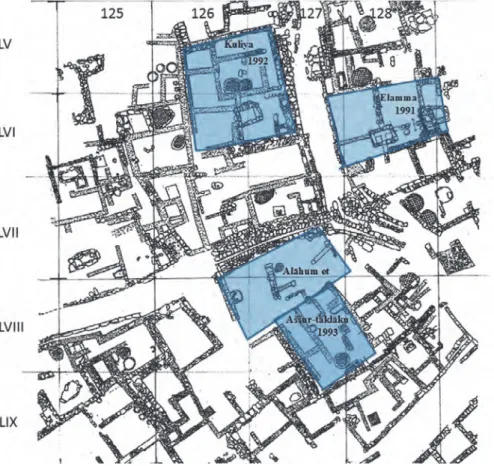 Fig. 5: Plan of a district of the lower town excavated at the beginning of the 1990s.  