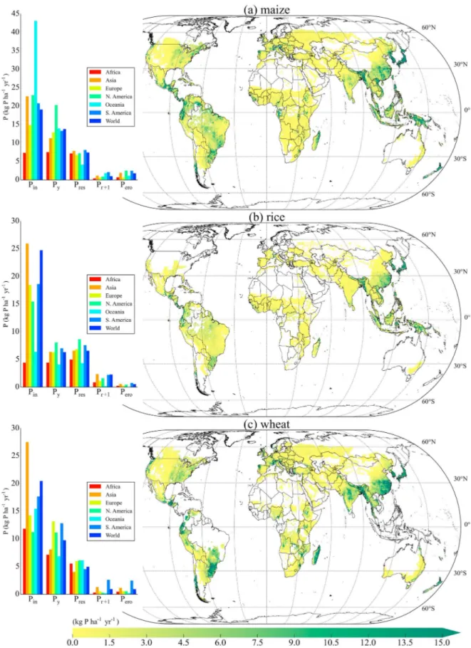 Figure 2. (a – c) Global maps of phosphorus (P) losses to total environment for the study period 1998 – 2002
