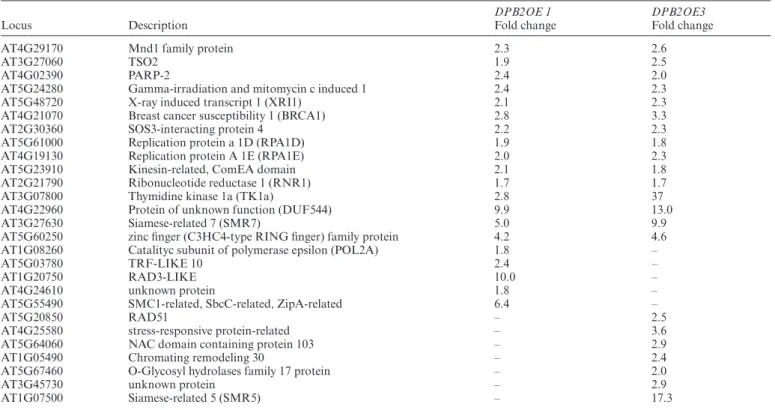 Table 2. DNA stress hallmark genes induced in DPB2OE seedlings compared with wild type