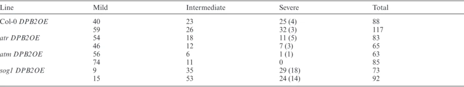 Table 3. Distribution ofDPB2OE T1 plants in the mild, intermediate and severe phenotypic classes in the wild-type (Col-0) and DDR mutant backgrounds