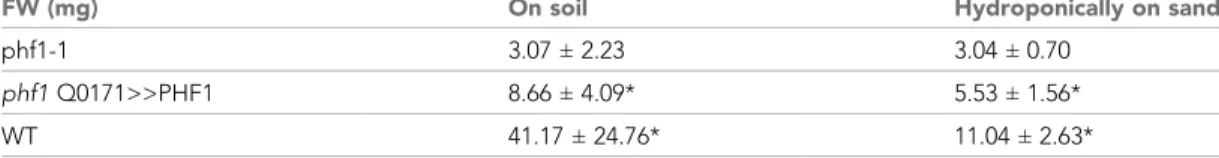 Table 1. Rosette biomass during long-term experiments. Plants were grown on soil or hydroponically in sand.