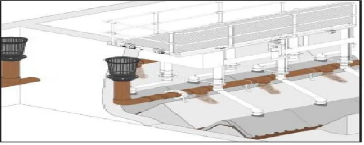 Figure 5 : Mécanisme de circulation des boues (Clarificateur) 