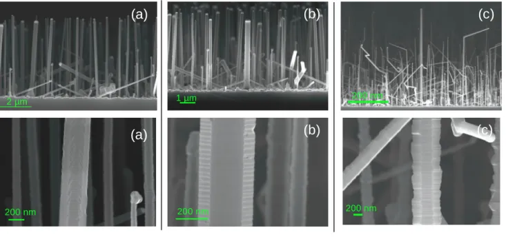 Figure 1 SEM images of p-doped SiNWs growth with different pB 2 H 6 /pSiH 4 ratio, at 650°C, 1.5 Torr total pressure and H 2 flow of 1.9 L.mn -1 , without HCl