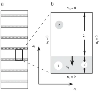 Fig. 2. Regular set of compaction bands (a) and an elementary cell of the deformation pattern (b)