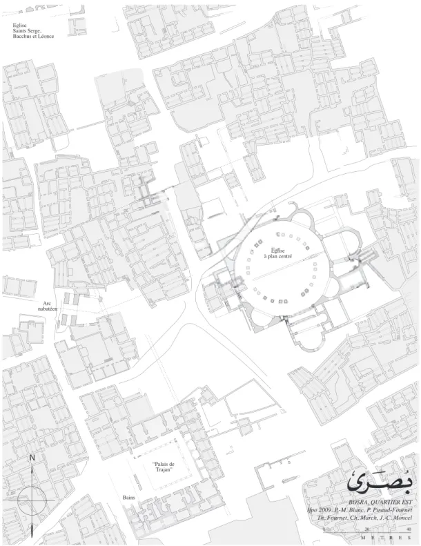 Fig. 1.  Bosra, le quartier Est
