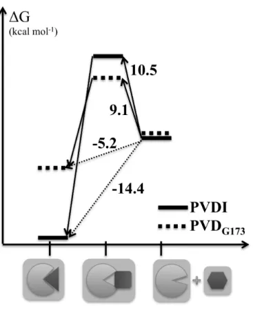 Fig.  4 Schematic representation of the free energy landscape associated with PVD  recognition  and  binding  by  FpvA