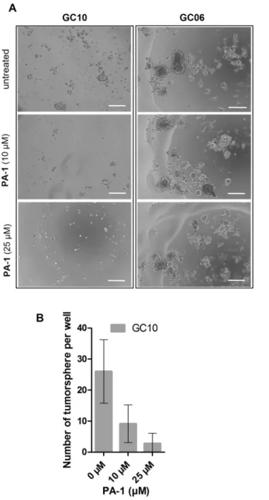 Fig. S10). This implies that PA-1 is not able to discriminate among miRNAs precursors containing this kind of  motives