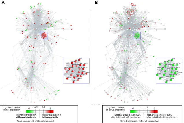 Figure 3. (A) Differential expression of miRNAs from cells grown in totipotent medium versus differentiation medium, as obtained from the GSE14473 public dataset (20), overlaid on the Diana50 network