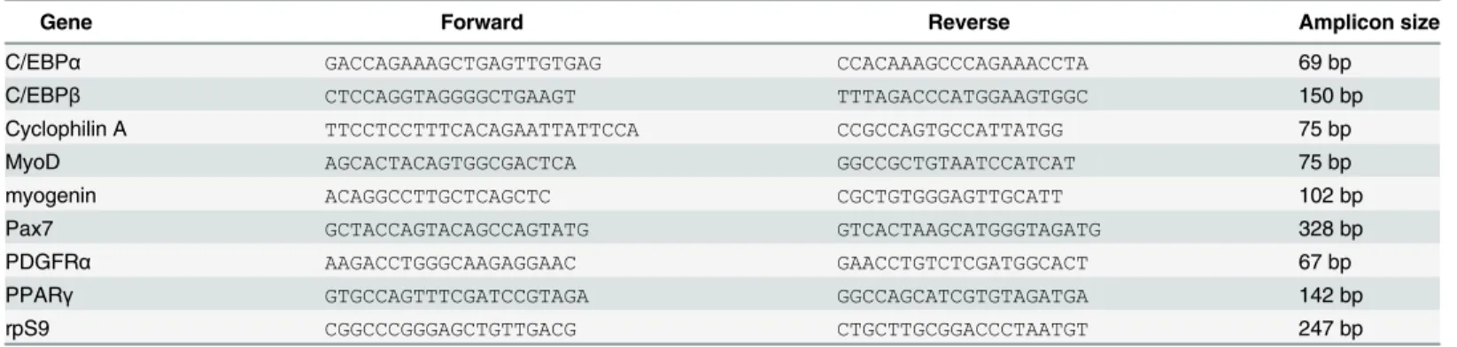 Table 1. Real-time PCR primers.