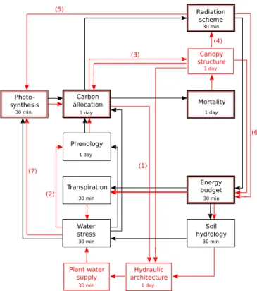 Figure 1. Schematic overview of the changes in ORCHIDEE-CAN.